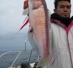 Aquanaut（アクアノート） 釣果