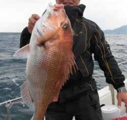 Aquanaut（アクアノート） 釣果