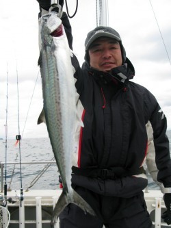 Aquanaut(アクアノート) 釣果