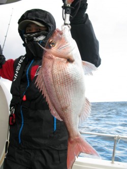 Aquanaut（アクアノート） 釣果