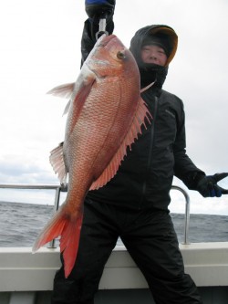 Aquanaut（アクアノート） 釣果