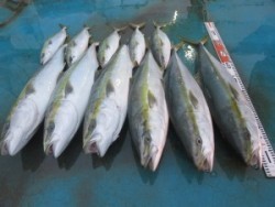 アジアマリンサービス 釣果