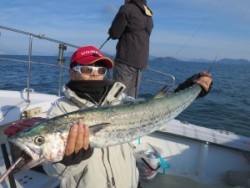 アジアマリンサービス 釣果