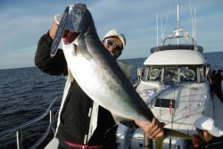 ハピネスⅡ 釣果