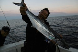 ハピネスⅡ 釣果