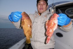 ハピネスⅡ 釣果