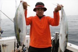 ハピネスⅡ 釣果