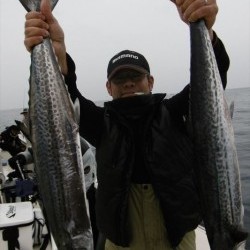 ハピネスⅡ 釣果