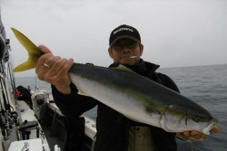 ハピネスⅡ 釣果