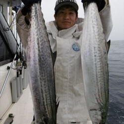 ハピネスⅡ 釣果