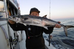 ハピネスⅡ 釣果