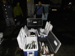 ハピネスⅡ 釣果