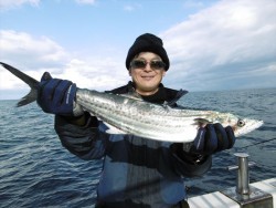 ハピネスⅡ 釣果