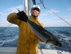 ハピネスⅡ 釣果