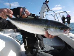 ハピネスⅡ 釣果