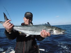 ハピネスⅡ 釣果