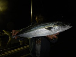 ハピネスⅡ 釣果