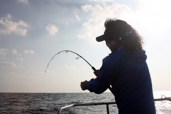 IZANAGI　イザナギ 釣果