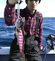 なぎさ丸 釣果