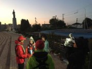 シーマジカル 釣果