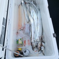 さんさん丸 釣果