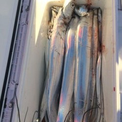 さんさん丸 釣果