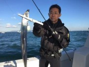 シーマジカル 釣果