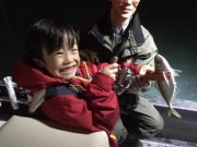 シーマジカル 釣果