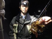 シーマジカル 釣果