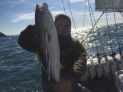 シーマジカル 釣果