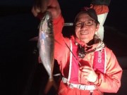 シーマジカル 釣果