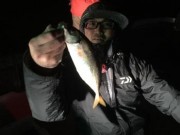 シーマジカル 釣果