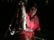 シーマジカル 釣果