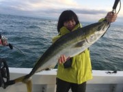 シーマジカル 釣果