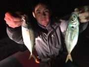 シーマジカル 釣果