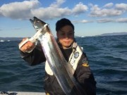 シーマジカル 釣果