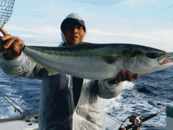 清和丸 釣果