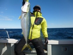 ふじしめ丸 釣果