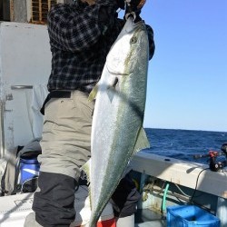 宝生丸 釣果