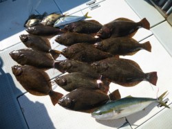 ふじしめ丸 釣果