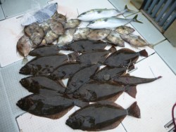 ふじしめ丸 釣果