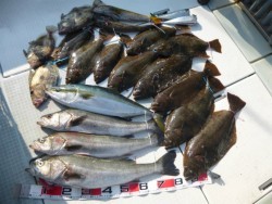 ふじしめ丸 釣果