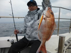 ふじしめ丸 釣果