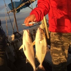 Blue.win 海人丸 釣果