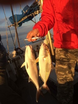 Blue.win 海人丸 釣果