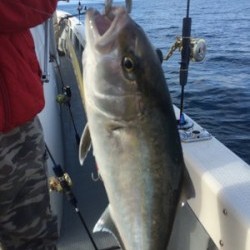 Blue.win 海人丸 釣果