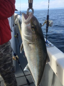 Blue.win 海人丸 釣果