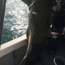 Blue.win 海人丸 釣果