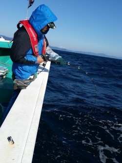 清和丸 釣果