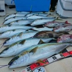 宝生丸 釣果
